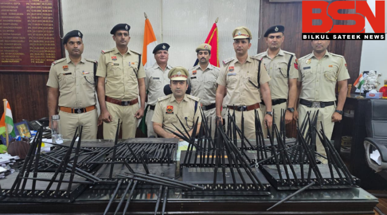 Untitled design (29)