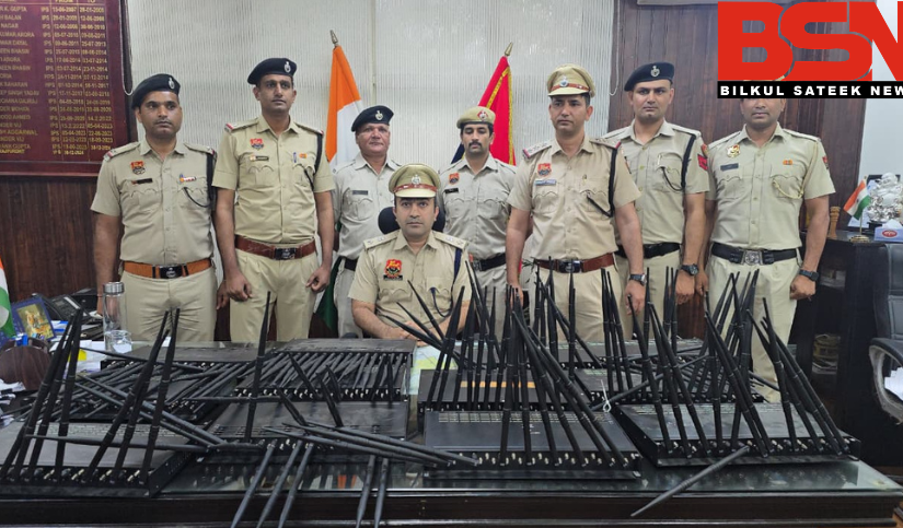 Untitled design (29)