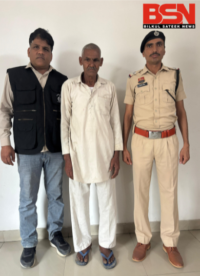 Untitled design (32)