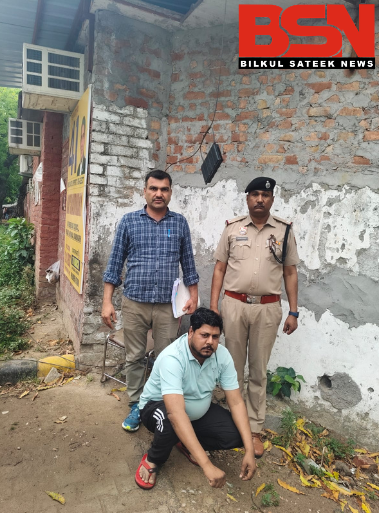 Untitled design (33)