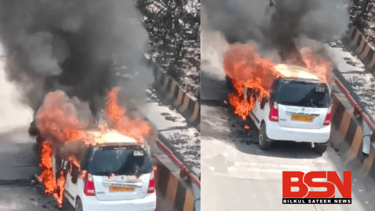 Untitled design (61) (1)