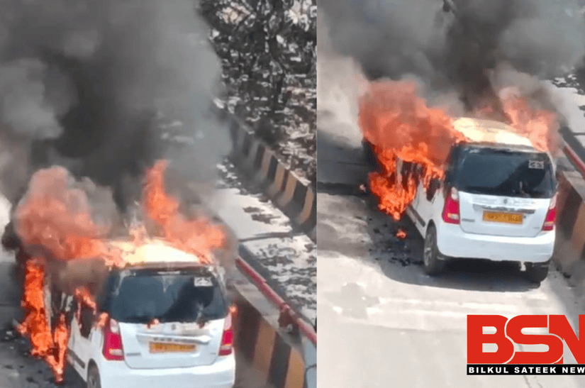 Untitled design (61) (1)