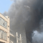 बिल्कुल सटीक सोनू (2)