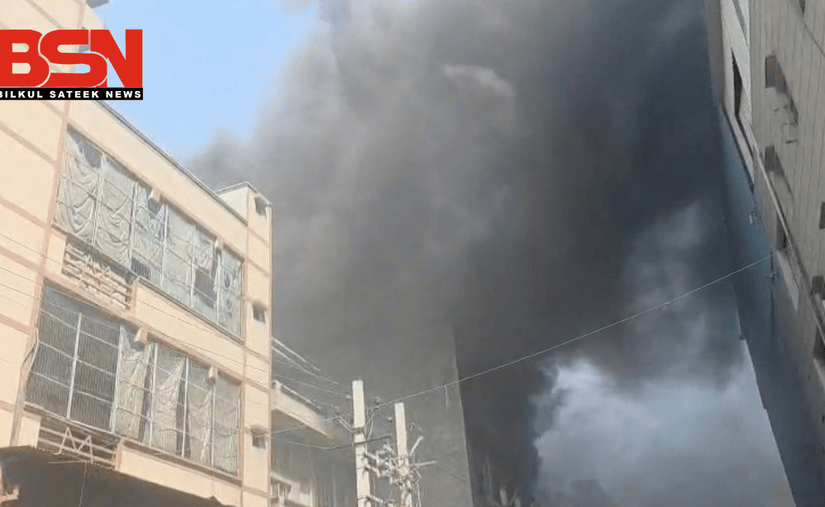 बिल्कुल सटीक सोनू (2)