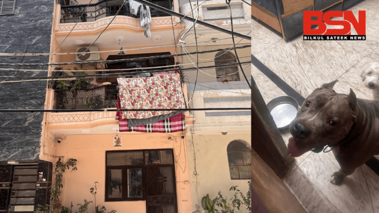 बीएसएन सोनू राणा शालीमार बाग