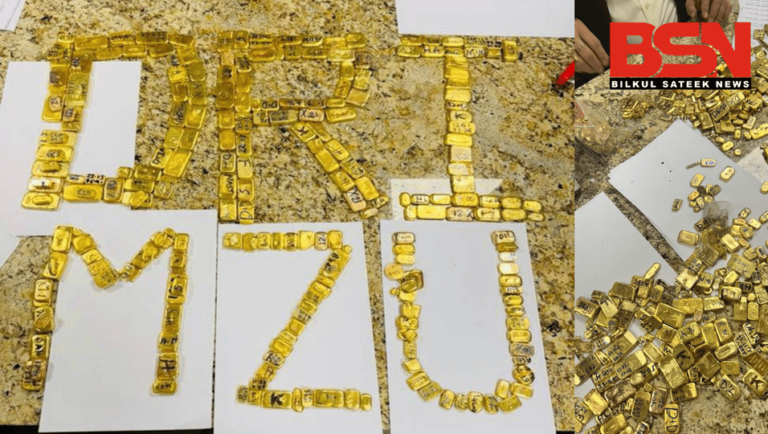 सोना सोनू सटीक