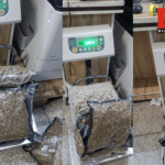 सोनू राणा बिल्कुल सटीक (1)