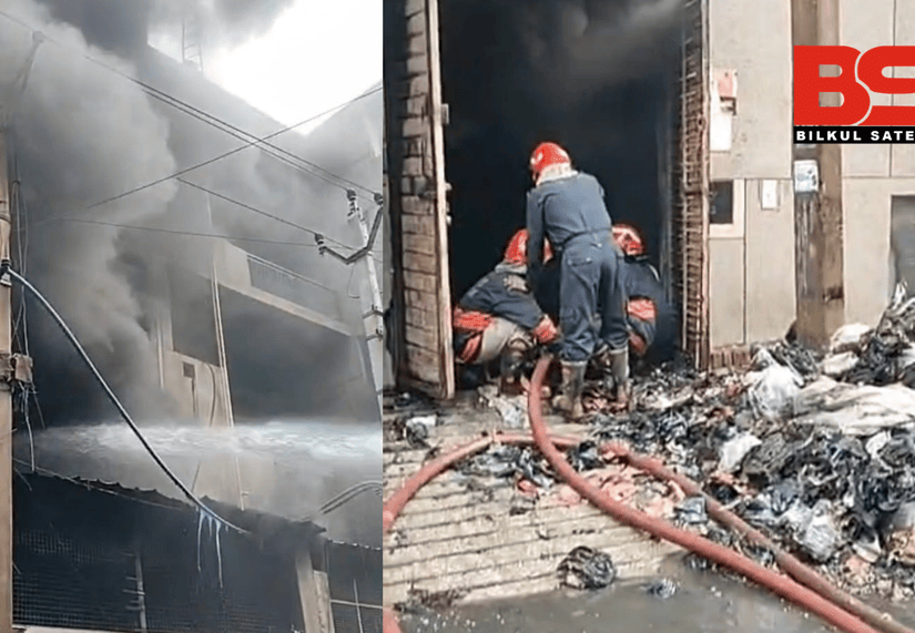 सोनू राणा बिल्कुल सटीक क