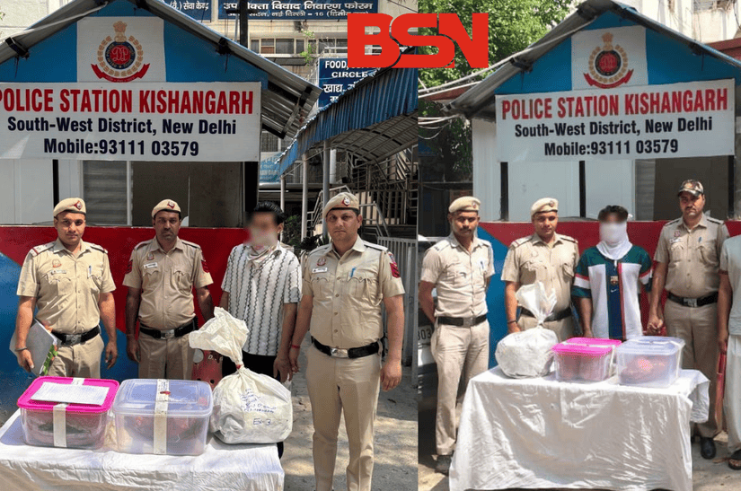 सोनू राणा बिल्कुल सटीक न्यूज