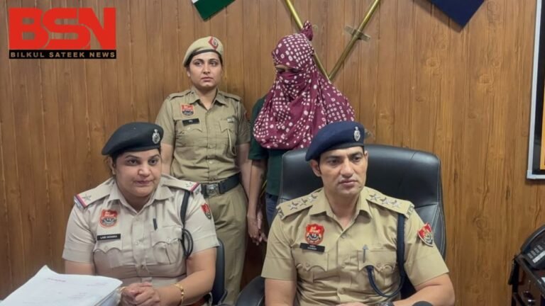 Untitled design (68)